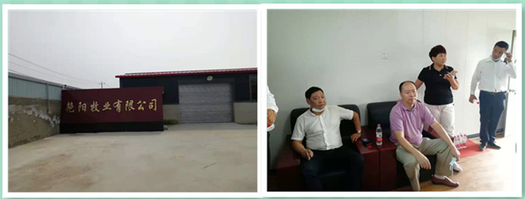 王艳5修改4.jpg